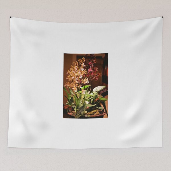 Item preview, Orchid Arrangement designed and sold by Jane Girardot.