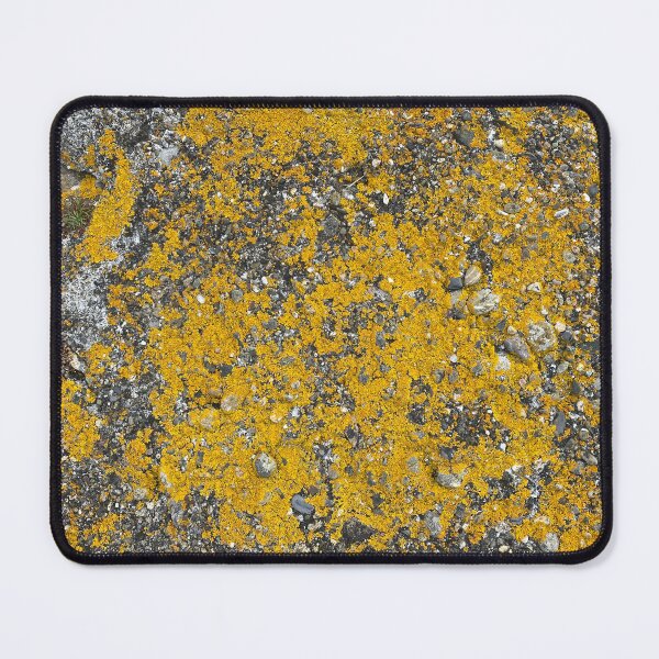 Item preview, Yellow Lichen on Rocks designed and sold by Sinemathk.