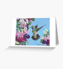 Hummingbird and Fuchsias Greeting Card