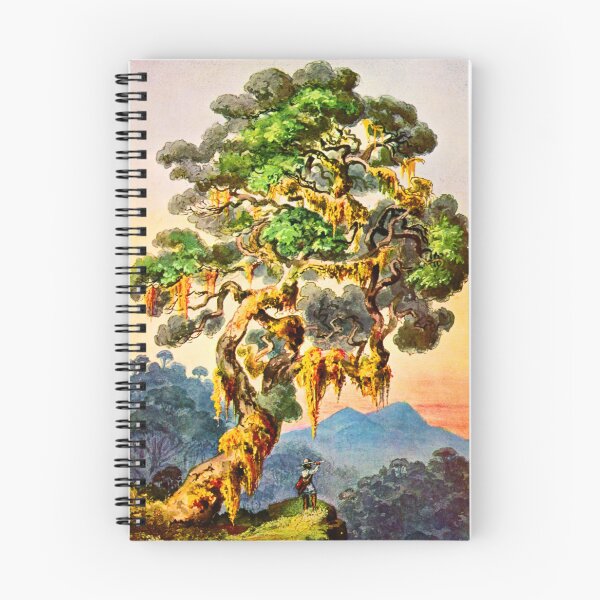 Item preview, Mount Merapi Volcano on Sumatran highlands of Padang  Ernst haeckel designed and sold by TeeARTHY.