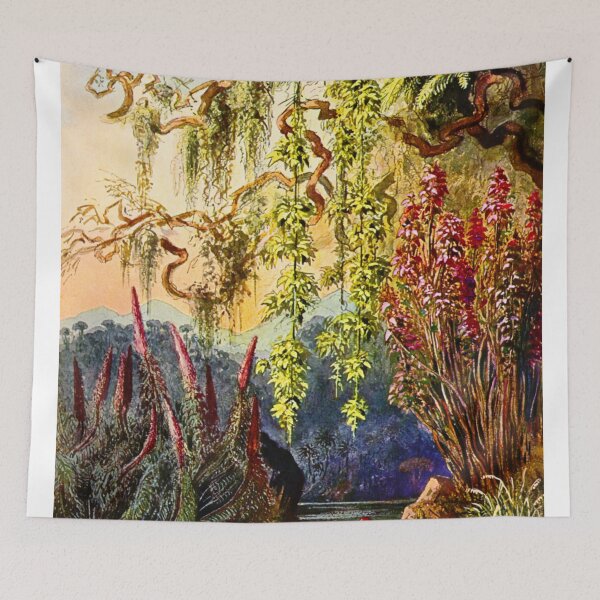Item preview,  Nillu bushes and hanging bamboos Ceylon highlands Ernst haeckel designed and sold by TeeARTHY.