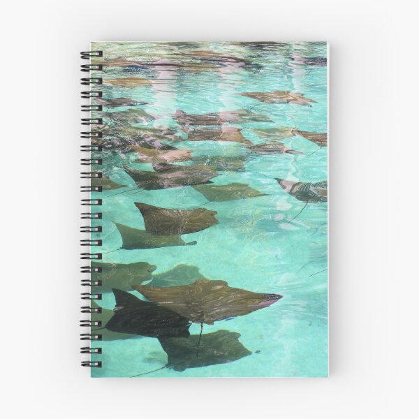 Item preview, Stingray Pond at the Atlantis designed and sold by Jane Girardot.