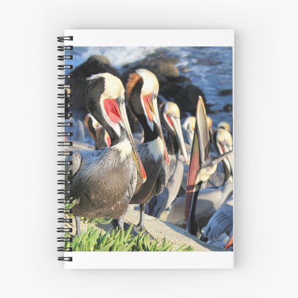 Item preview, Pelican Group designed and sold by Jane Girardot.