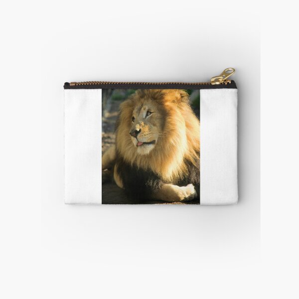 Item preview, Lion Posing designed and sold by Jane Girardot.