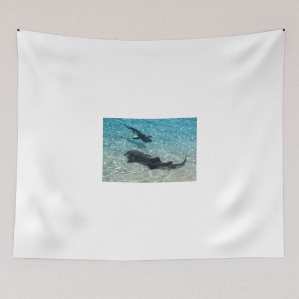 Item preview, Lemon and Nurse Shark at Water's Edge designed and sold by Jane Girardot.