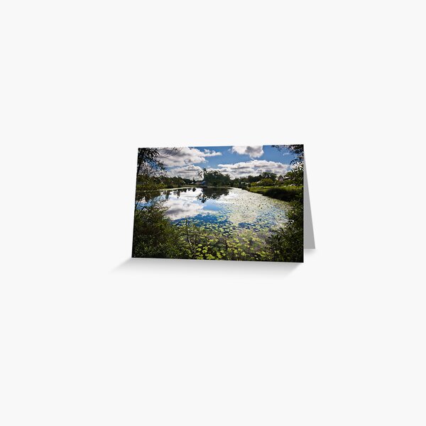 Pond 2 Greeting Card