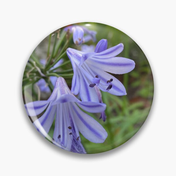 Item preview, Blue and White African Lily Flowers designed and sold by Sinemathk.