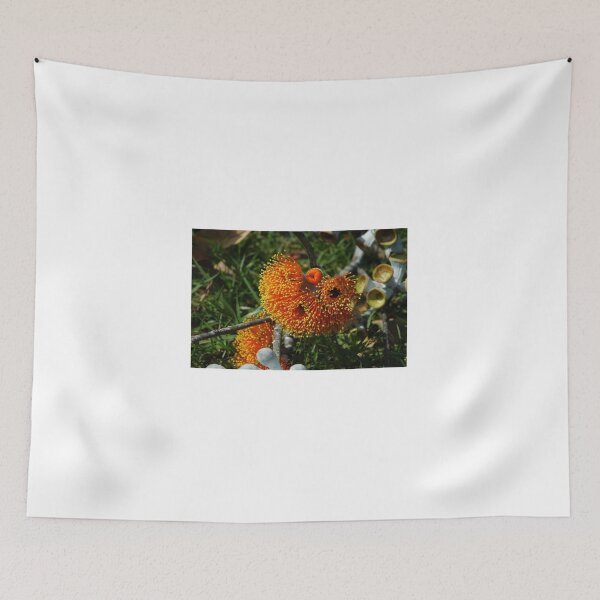 Item preview, Eucalyptus Blossom Northern Territory designed and sold by Ian McKenzie.
