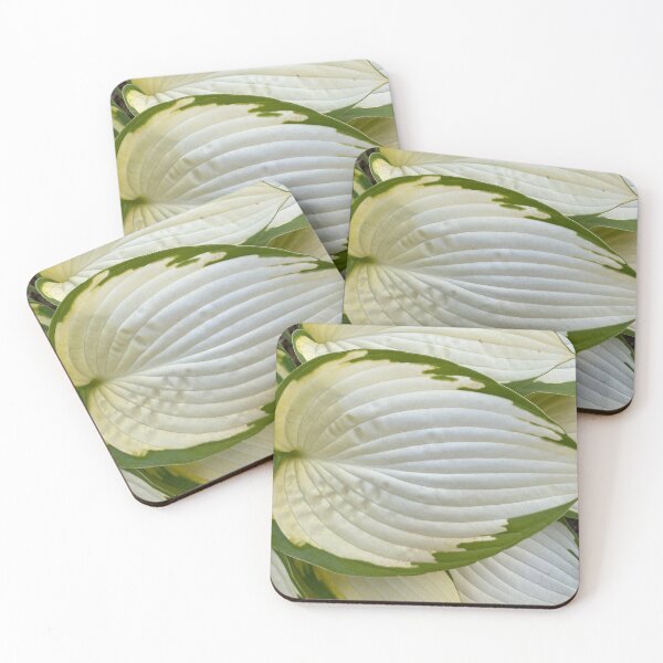 Aperçu de l'œuvre Feuille blanche avec des bords verts créée et vendue par Sinemathk.