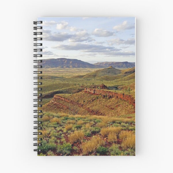 Item preview, Evening Light, Mt Bruce designed and sold by Harry Oldmeadow.