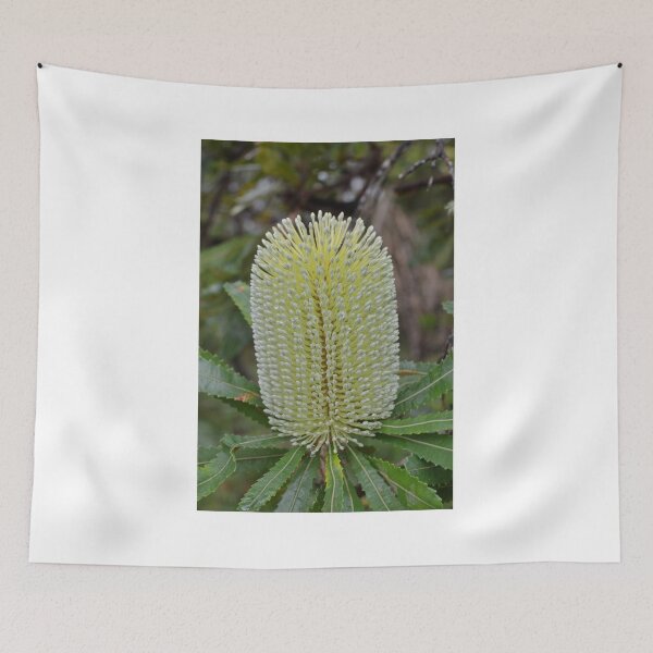 Item preview, Banksia blossom designed and sold by Ian McKenzie.
