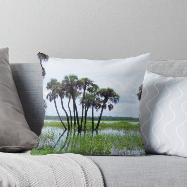 Item preview, Myakka State Park Scenic designed and sold by Rosalie Scanlon.
