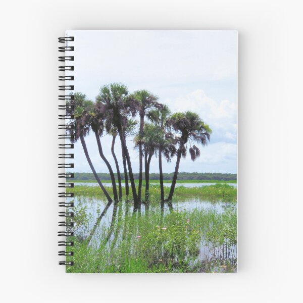 Aperçu de l'œuvre Parc d'état de Myakka Scenic créée et vendue par Rosalie Scanlon.