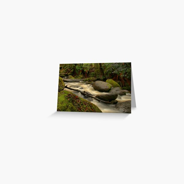 After The Rain Greeting Card