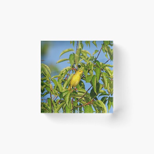 Item preview, Yellow Splash designed and sold by Debbie Oppermann.