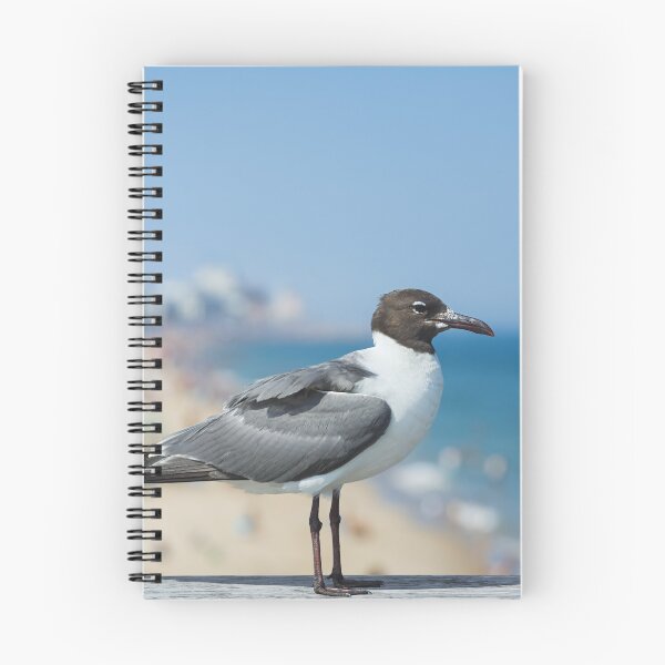 Item preview, Seagull on the Pier in Ocean City MD designed and sold by Leslie Banks.