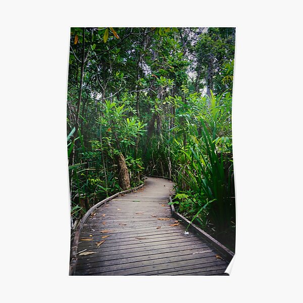Jungle Boardwalk Poster
