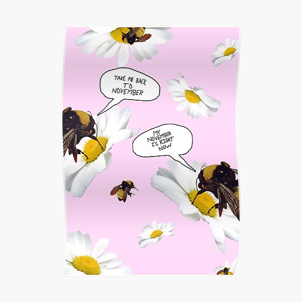 NOVEMBER POSTER Poster