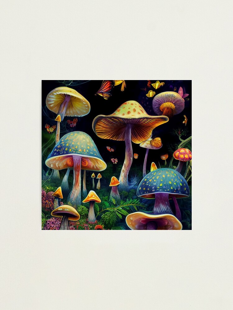 登山用品 HIGH TAIL DESIGNS Forest Mushroom Medium Enchanted Forest Glitter Mushroom Decor Assorted 2 Designs