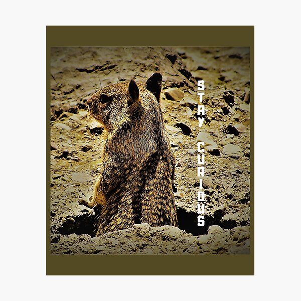Item preview, Stay Curious, Squirrel, Positive Quote designed and sold by NUKMARKUS.