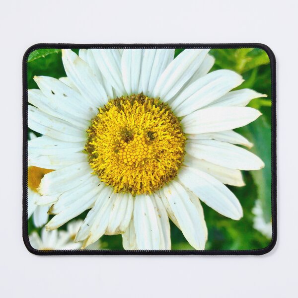 Item preview, Happy Daisy Day designed and sold by Danger60.