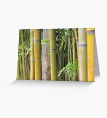 Fresh Bamboo Greeting Card