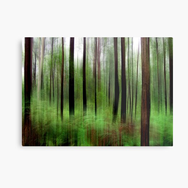 Eucalypts and Bracken Metal Print