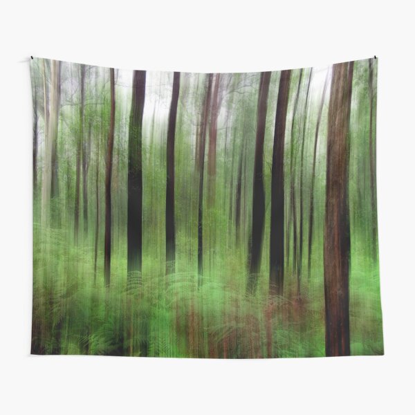 Eucalypts and Bracken Tapestry