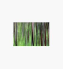 Into the Trees Art Board