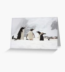 Gentoo Penguins ~ "Our World" Greeting Card