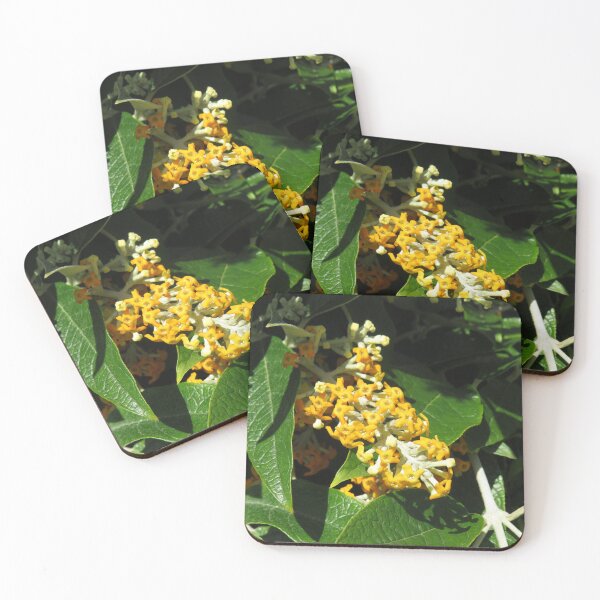 Item preview, Yellow Buddleia flowers designed and sold by greentiger1.