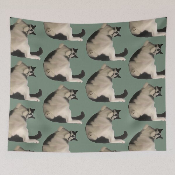Item preview, Vientre de gatito designed and sold by Scars4Strength.