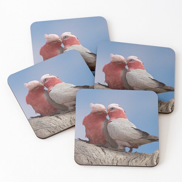 Item preview, Galahs ~ "True Love" designed and sold by Robert Elliott.