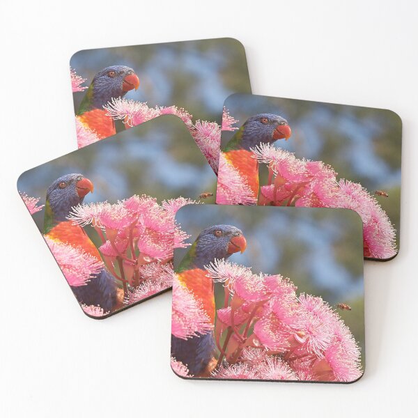 Item preview, The Bird, the Bee and the Gum Blossoms ~ Rainbow Lorikeet designed and sold by Robert Elliott.