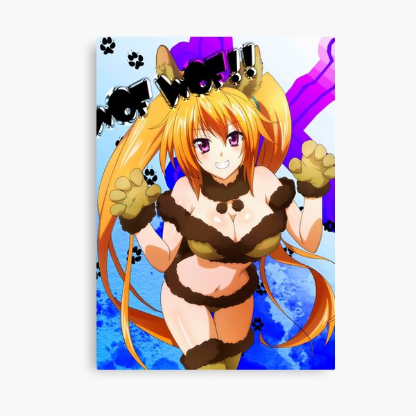 Irina Shidou High School Dxd Epic Design For Fan Canvas Print For Sale By Roycool Redbubble 