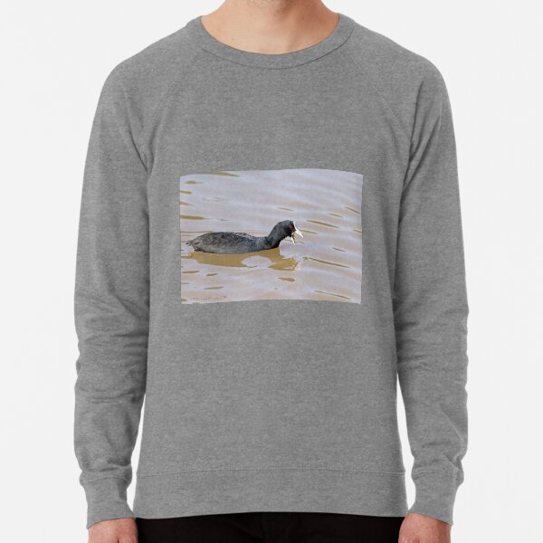 Eurasian Coot (709) Lightweight Sweatshirt