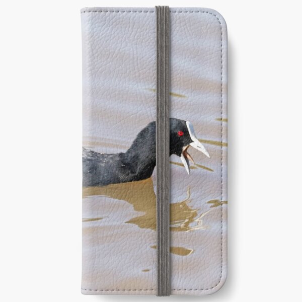 Eurasian Coot (709) iPhone Wallet