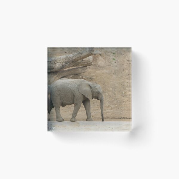 Item preview, Baby Elephant designed and sold by Wayne Thomson.