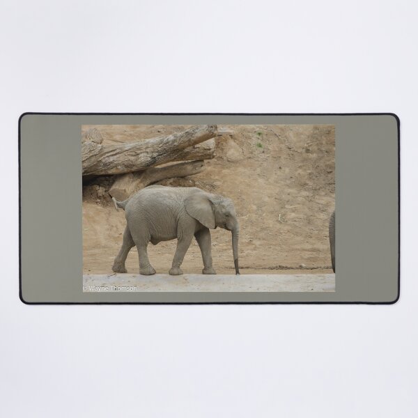 Item preview, Baby Elephant designed and sold by Wayne Thomson.