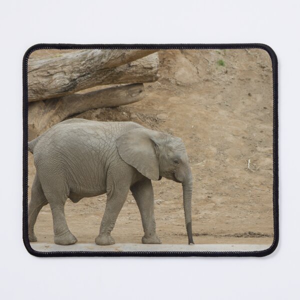 Item preview, Baby Elephant designed and sold by Wayne Thomson.