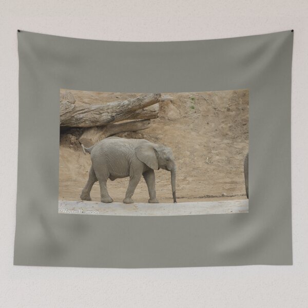 Item preview, Baby Elephant designed and sold by Wayne Thomson.