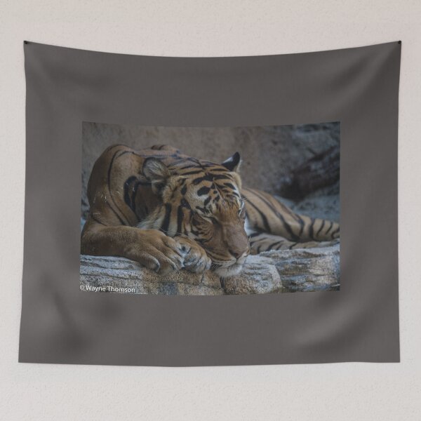 Item preview, Sleeping Tiger designed and sold by Wayne Thomson.