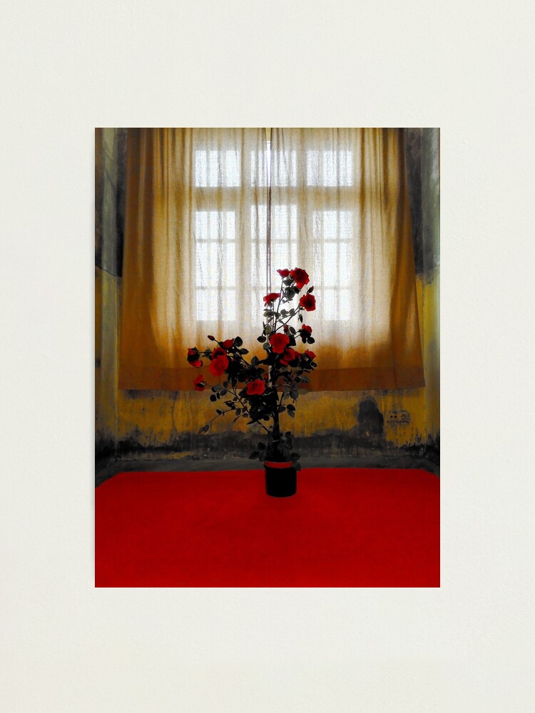 Alternate view of the Rose Photographic Print
