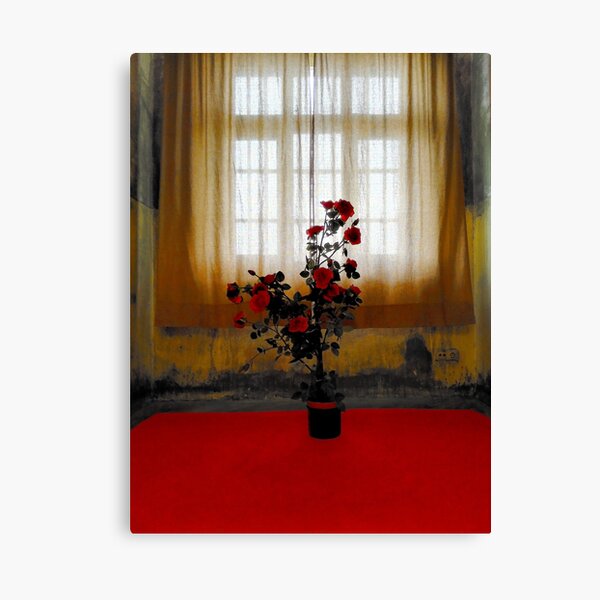 the Rose Canvas Print