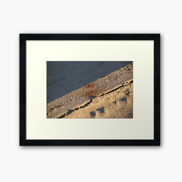 Beach Board Framed Art Print