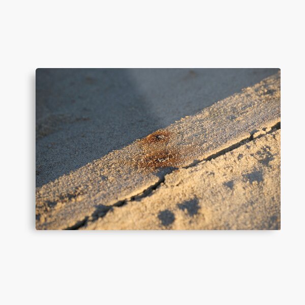 Beach Board Metal Print