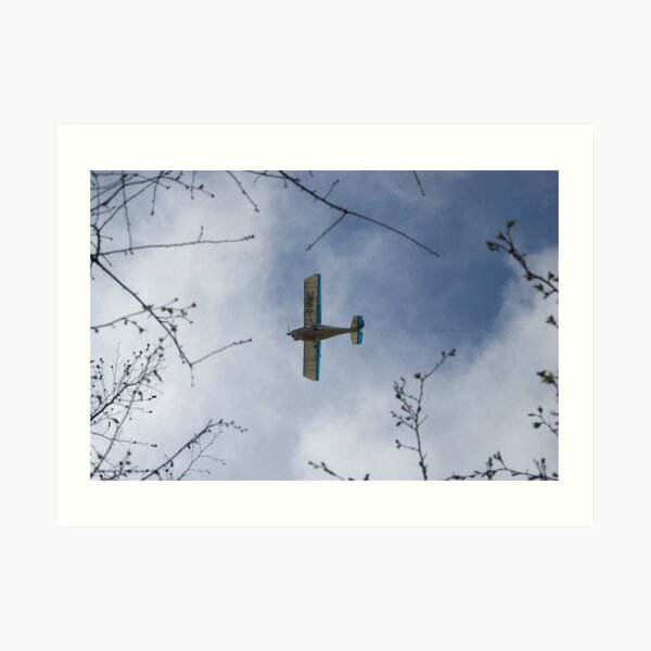 Small plane Art Print