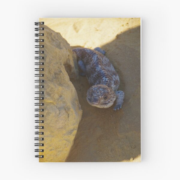 Item preview, Bobtail in Nambung (Tiliqua rugosa) designed and sold by lezvee.