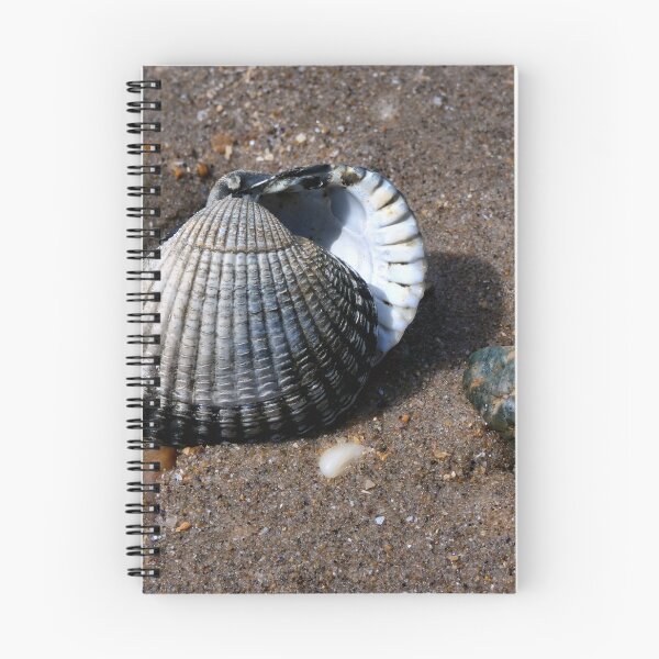 Item preview, shell designed and sold by KathleenDawson.