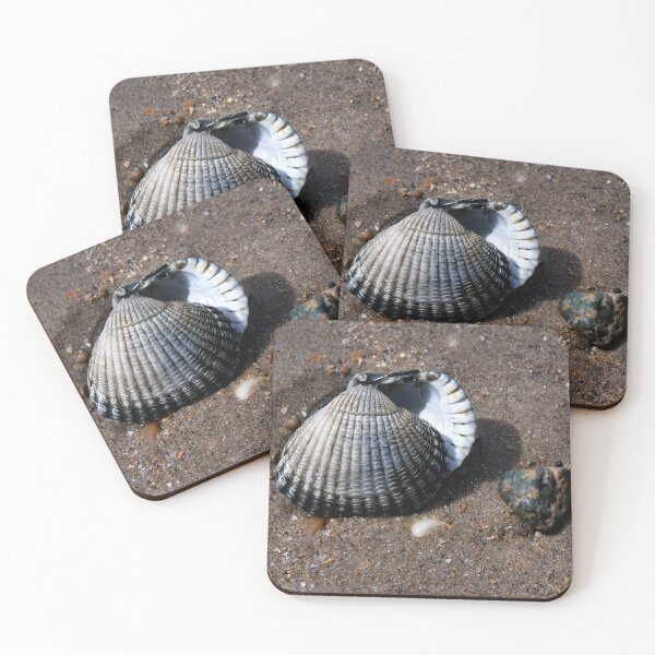 Item preview, shell designed and sold by KathleenDawson.